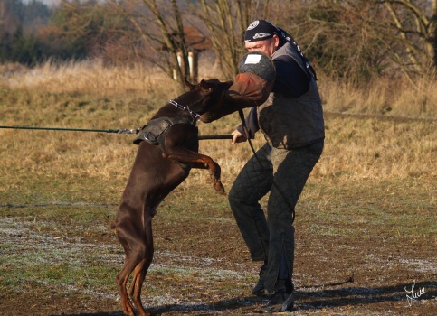 The christmas training 27.12.2006